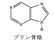 解説画像